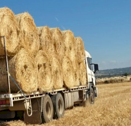300 x Wheat Hay 5x4 Round Bales