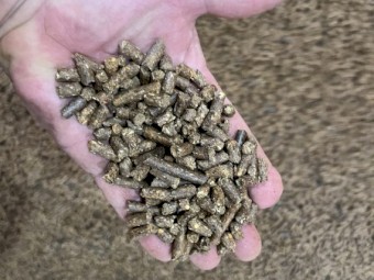 Lucerne Pellets
