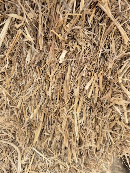 Oaten Hay Small Square Bales