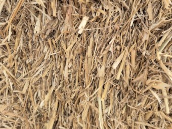 Oaten Hay Small Square Bales