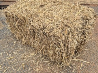Oaten Hay Small Square Bales