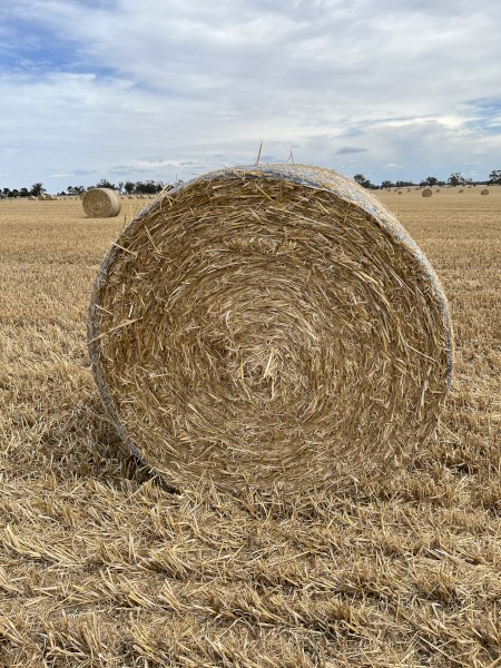 Oaten Header Tailings 5x4 Round Bales