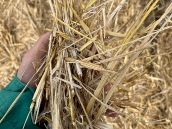 Oaten Header Tailings 5x4 Round Bales