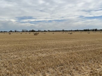 Oaten Header Tailings 5x4 Round Bales