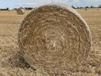 Oaten Header Tailings 5x4 Round Bales