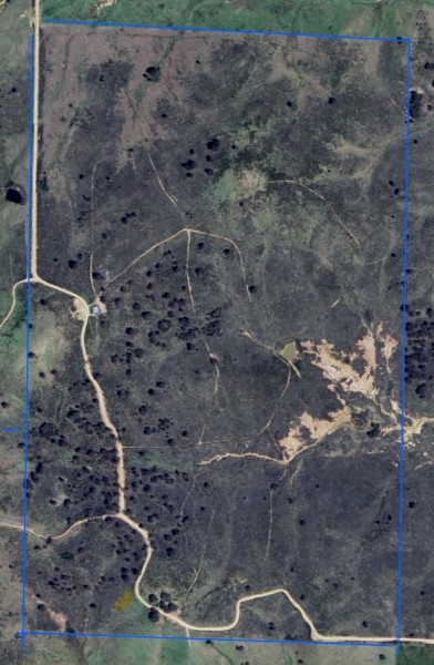 318 acres for Agistment