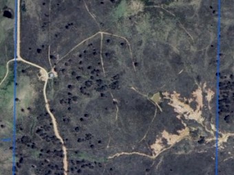 318 acres for Agistment