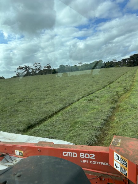 53mt Pasture Hay Round Bales