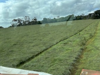 53mt Pasture Hay Round Bales