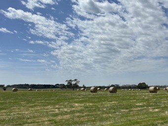 53mt Pasture Hay Round Bales