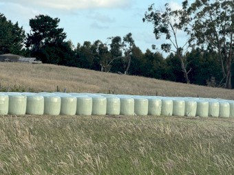 Pasture Silage 