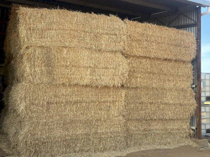 Shedded barley straw