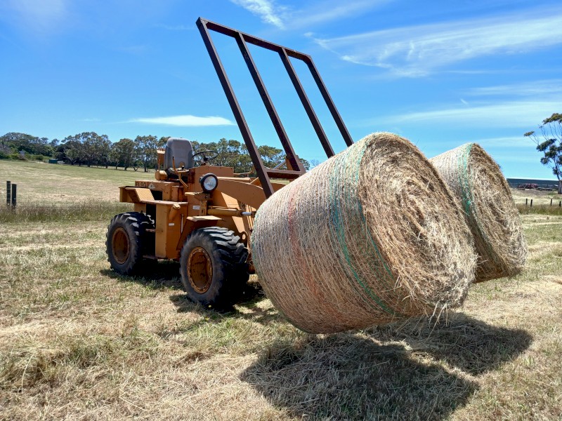 36 x Oaten Rye Round Rolls