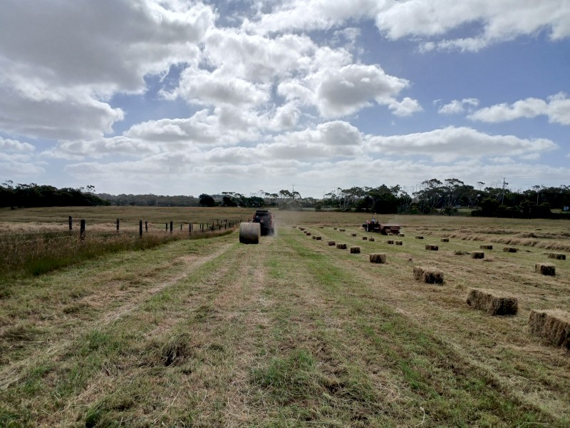 Shedded small squares