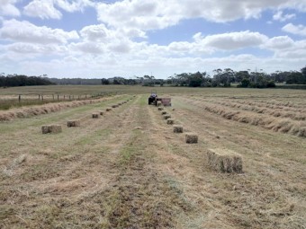 Shedded small squares