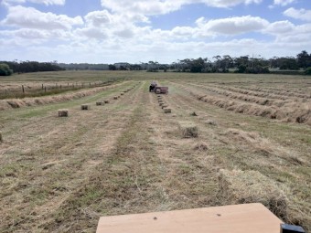 Shedded small squares