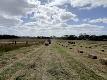 Shedded small squares