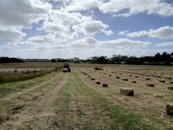 Shedded small squares