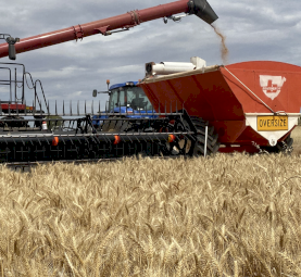 Bordignon 16T Chaser Bin