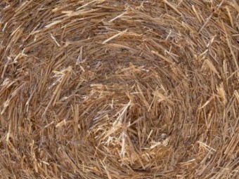 Wheat Straw Header Tailings 5x4 Round Rolls