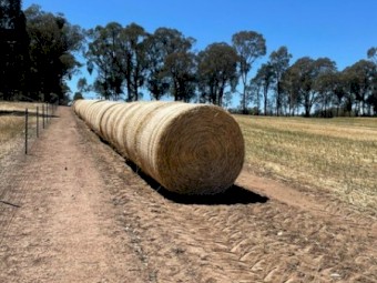 Wheaten Hay 5x4 Round Rolls