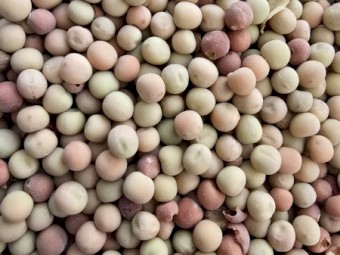150mt Buttler Peas