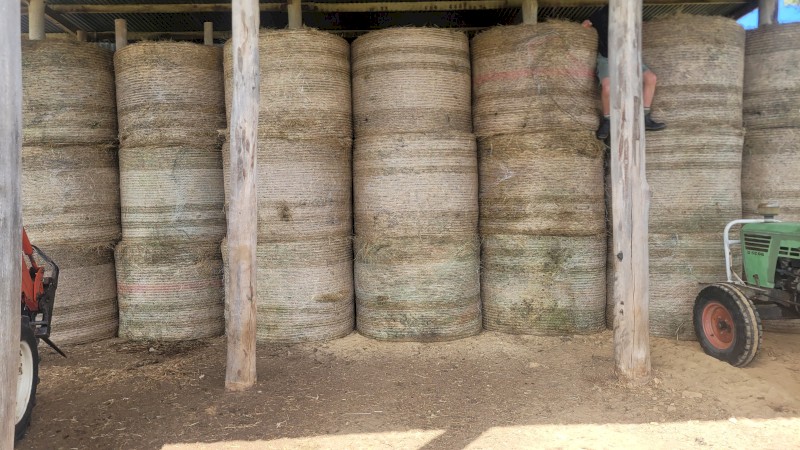 Round Bales, 5ft. 