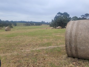 Round Bales, 5ft. 