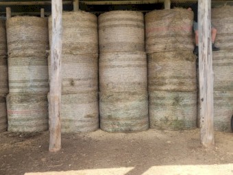 Round Bales, 5ft. 