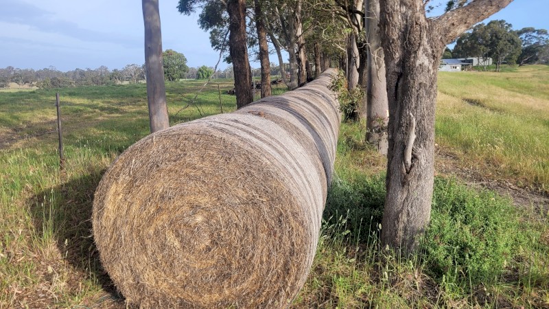 Clover Rye Hay 5x4 Rolls