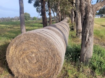 Clover Rye Hay 5x4 Rolls