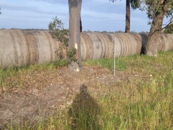 Clover Rye Hay 5x4 Rolls