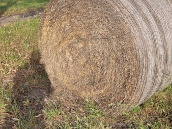 Clover Rye Hay 5x4 Rolls