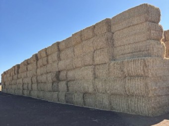 Wheaten Straw 540kg 8x4x3 Bales