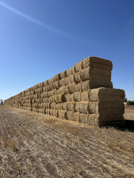 Barley Straw 540kg 8x4x3 Bales