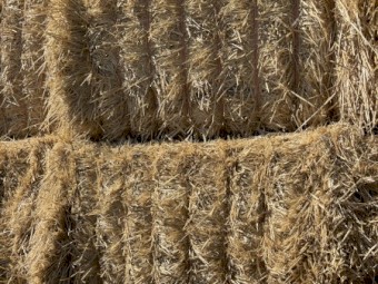 Barley Straw 540kg 8x4x3 Bales