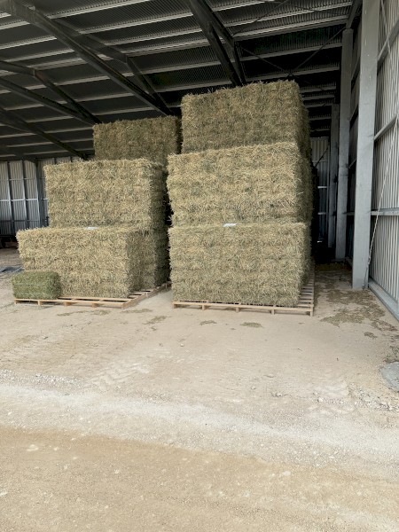 10,000 x Lucerne Hay Small Square Bales