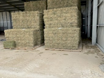 10,000 x Lucerne Hay Small Square Bales