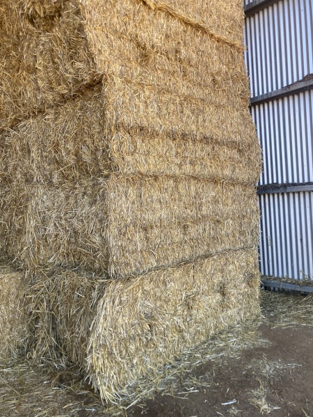 Wheaten straw hay 