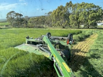 Barley Hay 5X4 Rolls