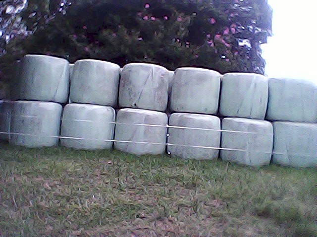 36 x Rye & Herb Silage Bales