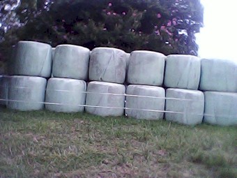 rye & herb silage bales