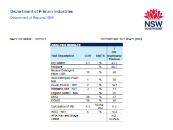 rye & herb silage bales