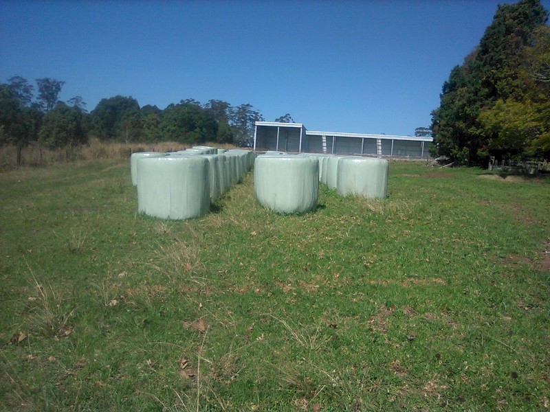 21.7% protein soybean bales