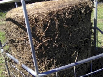 21.7% protein soybean bales