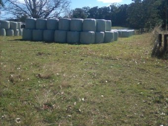 improved pasture & herbs