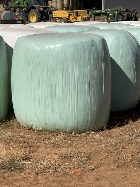 2nd cut Lucerne Silage 