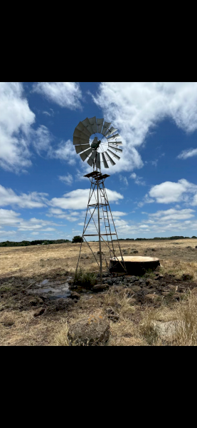 Southern Cross Windmill