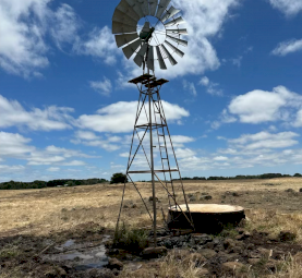 Southern Cross Windmill