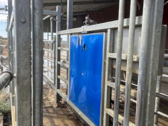 Complete 30 a side Swing Over Dairy with Draft Gate & Vat